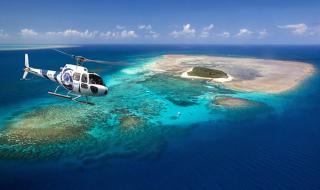 摩尔庄园水煮大闸蟹 摩尔庄园水煮大闸蟹