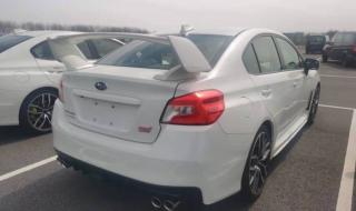 斯巴鲁翼豹 斯巴鲁翼豹