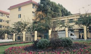 托普信息技术学院