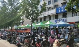 郑州电动车上牌 郑州电动车上牌