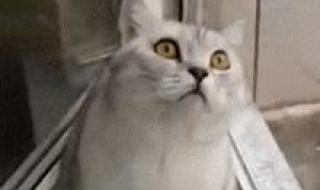 因为你爱我 因为你爱我