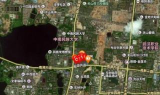 西南财经政法大学