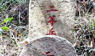 问斜阳电影 问斜阳电影