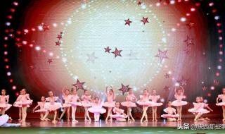 陕西省小天鹅艺术团 陕西省小天鹅艺术团