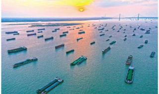 踔厉怎么读 踔厉怎么读