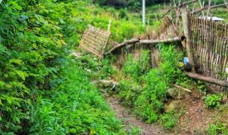 中国摄影家协会