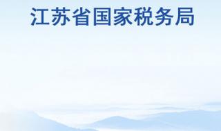 江苏国税电子税务局 江苏国税电子税务局