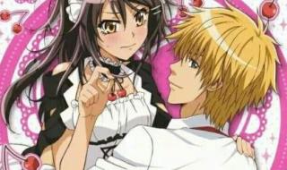 会长是女仆大人图片