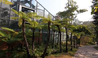 厦门园林植物园 厦门园林植物园