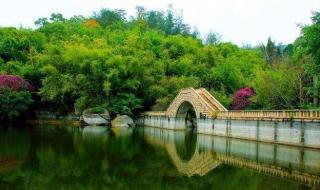 厦门园林植物园 厦门园林植物园