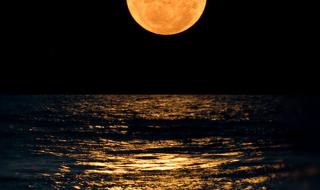 月亮很圆是什么意思