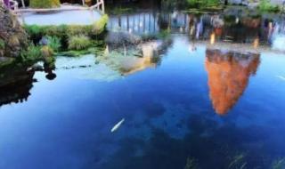 寻找周杰伦 寻找周杰伦