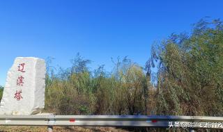 考生档案所在地怎么查 考生档案所在地怎么查