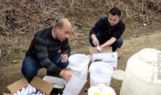 打药无人机多少钱一台