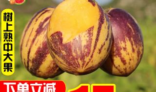 一根新鲜人参价格