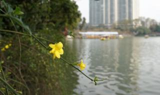 五九和六九还冷吗 五九和六九还冷吗