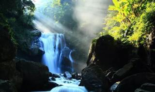 山鸣谷应打一生肖 山鸣谷应打一生肖