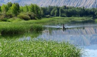 风景这边独好前一句 风景这边独好前一句