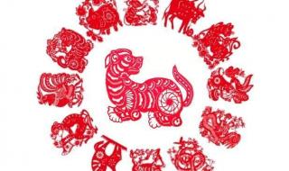 细大不逾是什么生肖