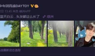 神隐电视剧更新时间