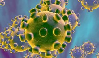 奥密克戎毒株有几种 奥密克戎毒株有几种