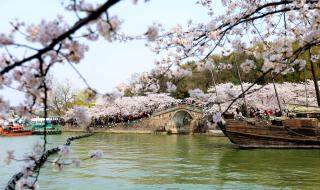 无锡鼋头渚门票团购 无锡鼋头渚门票团购