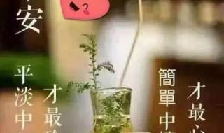 早上好图片最新大图