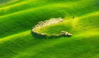 手心里的温柔简谱 手心里的温柔简谱