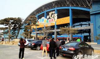 齐河泉城海洋极地世界 齐河泉城海洋极地世界