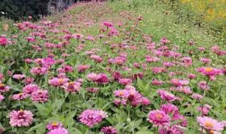 高端大气上档次完整版 高端大气上档次完整版