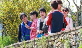 花儿与少年最后一期