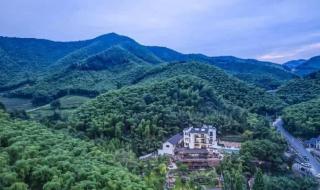 抖音奇妙夜浙江卫视