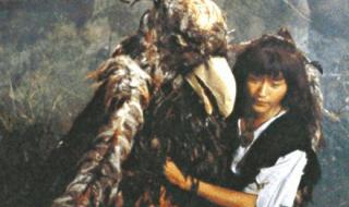 神雕之纵横江湖 神雕之纵横江湖