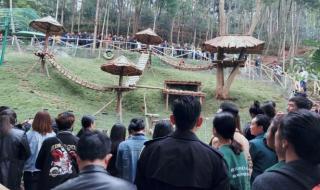 森林生态旅游与康养