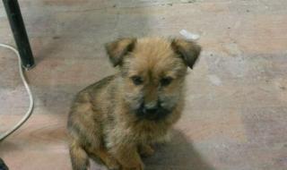 生命要继续歌词