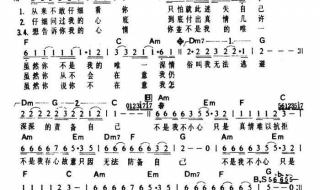 你要的不是我吉他谱 你要的不是我吉他谱