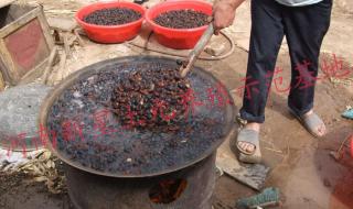 土元养殖是真的吗 土元养殖是真的吗