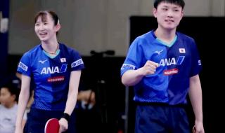 王楚钦vs张本智和战绩